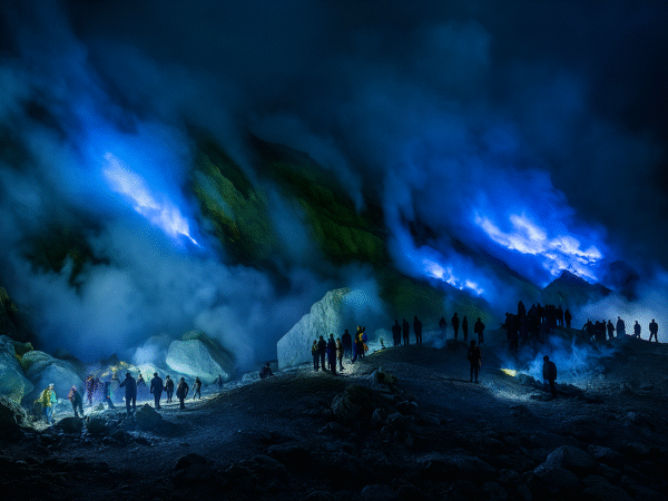 Paket Tour Safari Glamping Ijen 2D1N