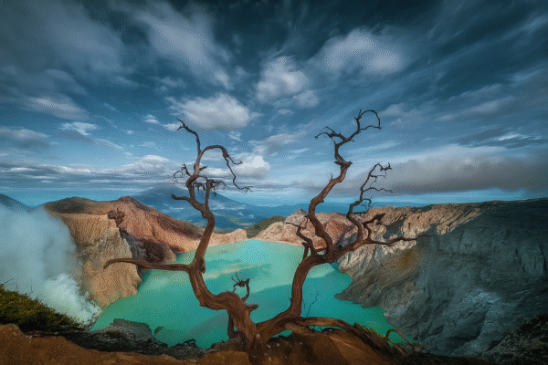 Paket Wisata 4 Hari 3 Malam – Menjangan Kawah Ijen Bromo