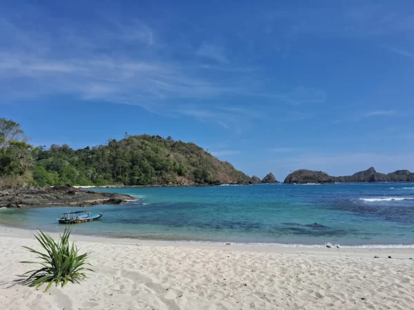 Tour Menjangan Tabuhan – Bangsring