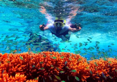 Berkemah di Pulau Tabuhan yang Tak Berpenghuni