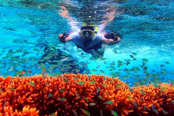 Paket Wisata Menjangan Only