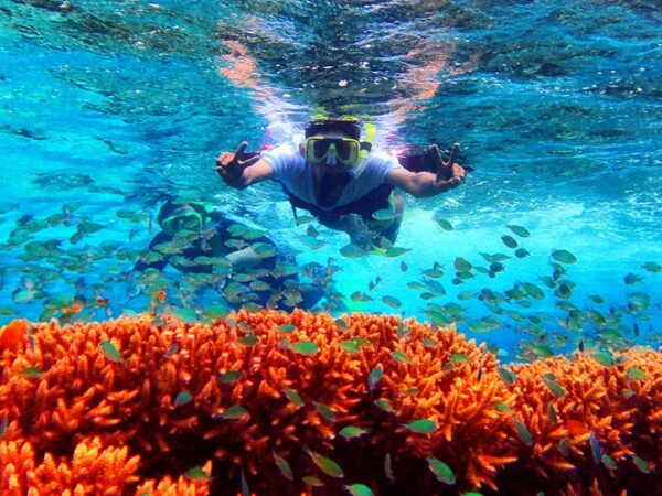 Paket Wisata Menjangan Only