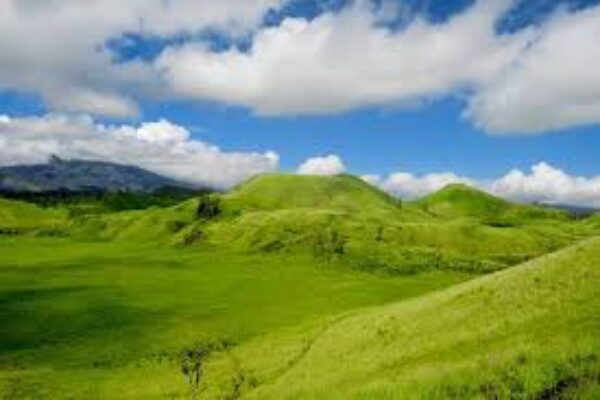 Paket Kawah Wurung & Baluran