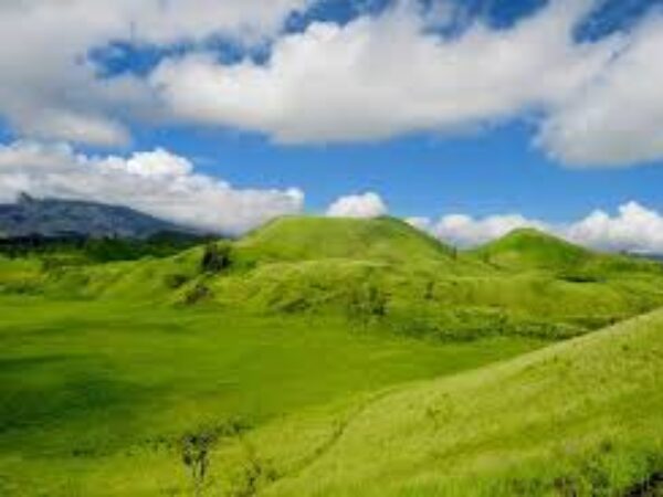 Paket Kawah Wurung & Baluran