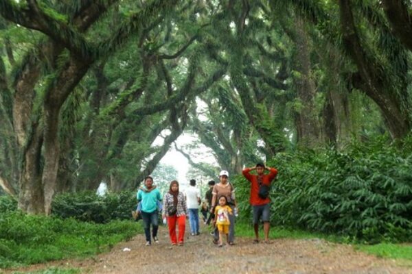 Paket Wisata Banyuwangi 3 Hari 2 Malam-Explore Banyuwangi