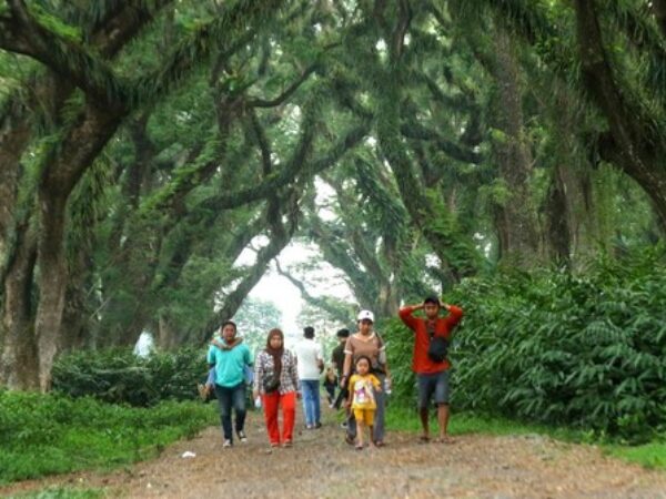 Paket Wisata Banyuwangi 3 Hari 2 Malam-Explore Banyuwangi